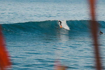 Quick Guide to Choosing A Wetsuit