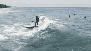 What's the Best Surfboard for Learning to Surf?
