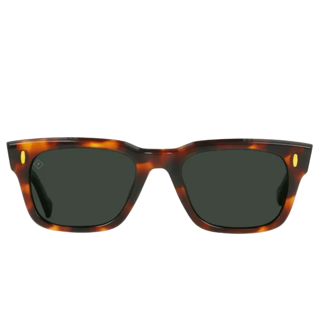 Conway Sunglasses | Raen