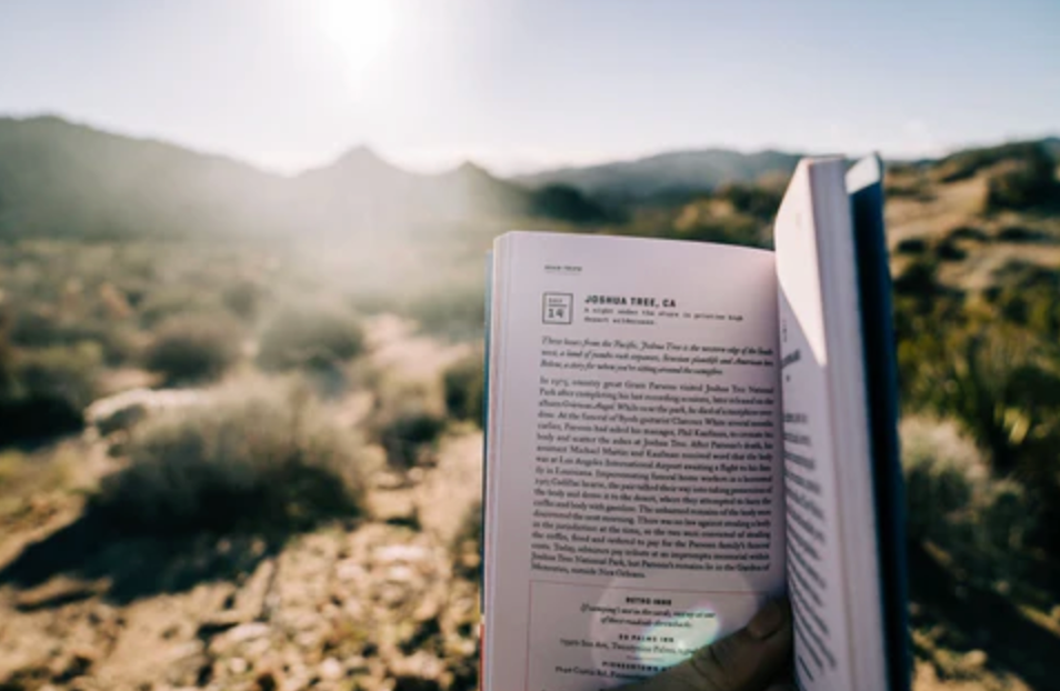 Joshua Tree Field Guide | Wildsam