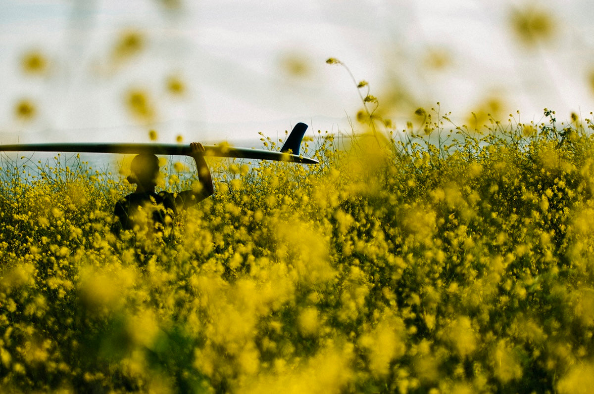 Person holding a surfboard amidst a field of yellow flowers
