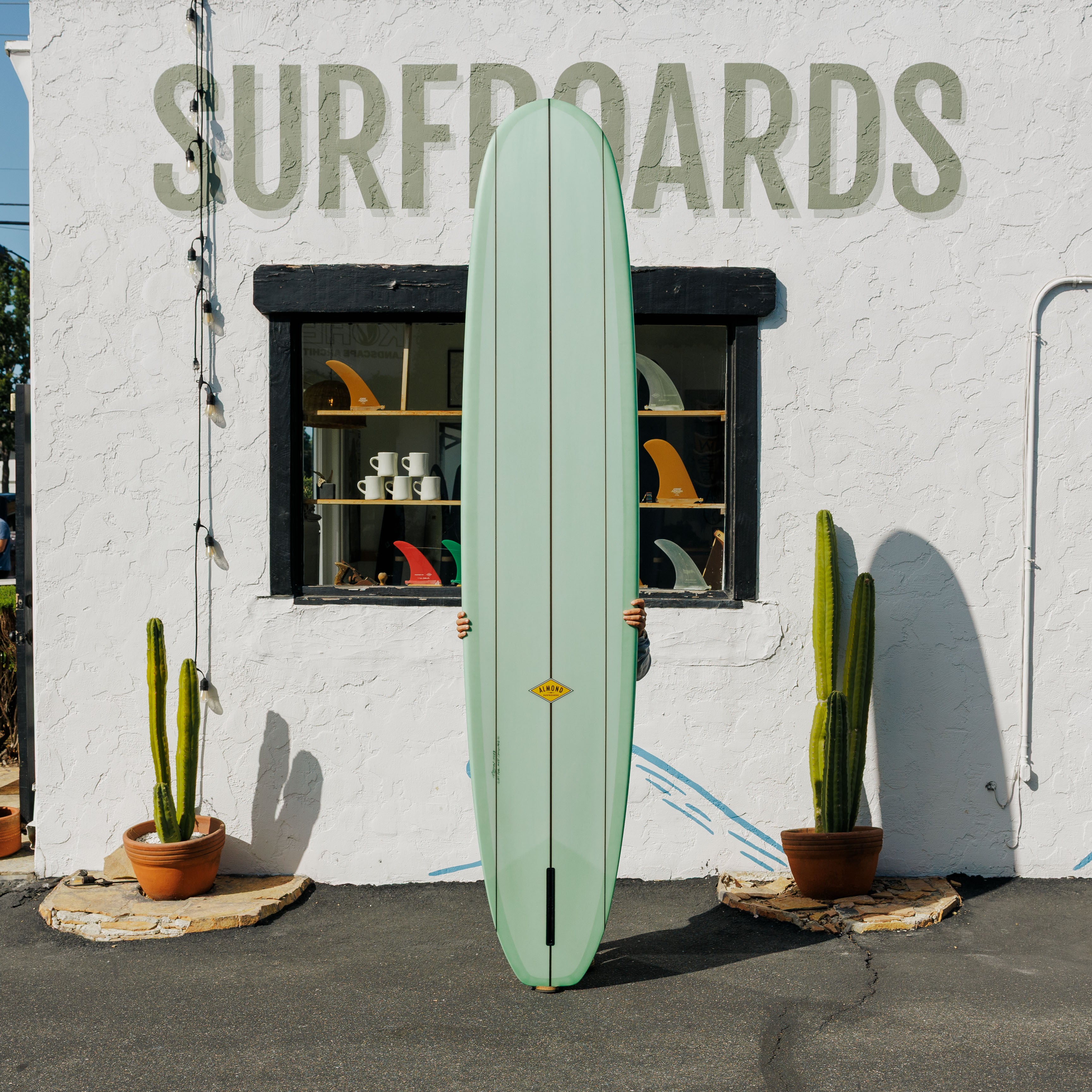 10'0 The Sage Model #10139