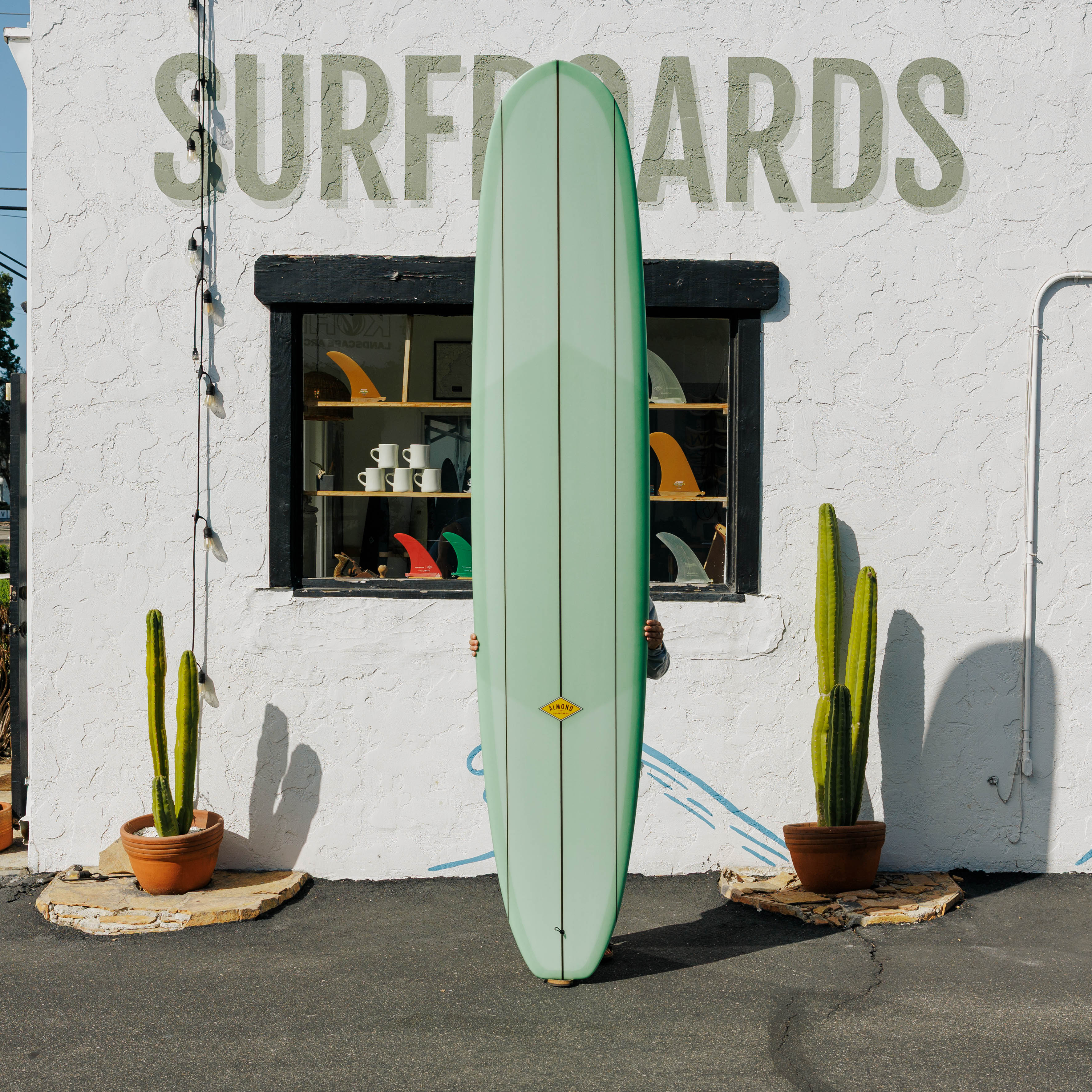 10'0 The Sage Model #10139