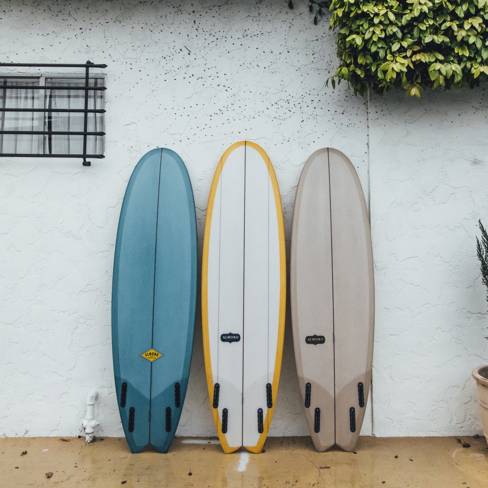 Almond's Guide to Fishes & Small Boards (eBook)