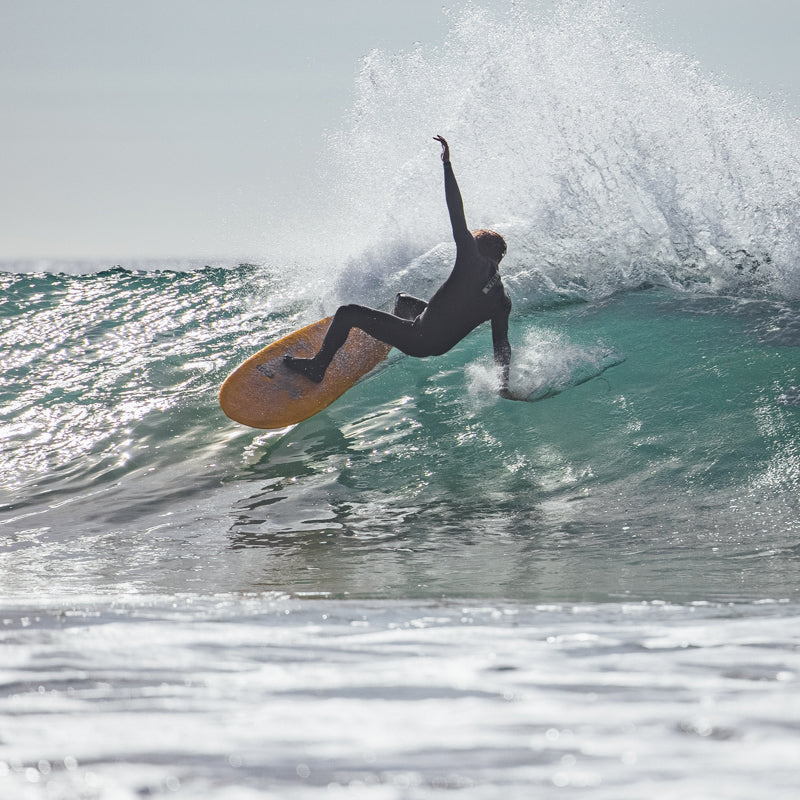 Almond's Guide to Fishes & Small Boards (eBook)