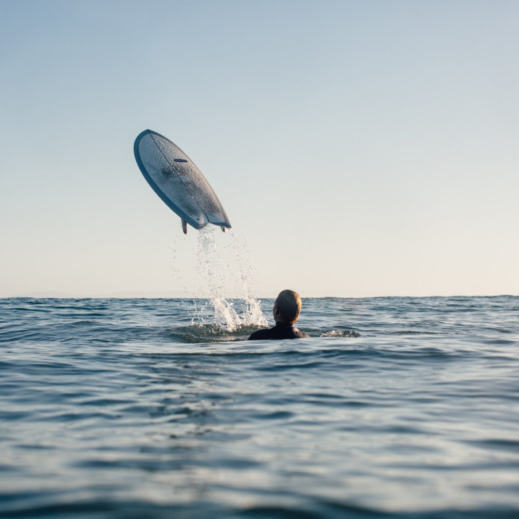 Almond's Guide to Fishes & Small Boards (eBook)